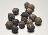 JPG 1200x881 588.6kb