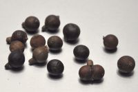 JPG 1200x806 510.5kb