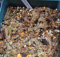 JPG 1200x1158 1202.6kb