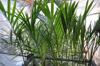 JPG 1200x797 984.2kb