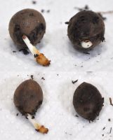 JPG 1174x1461 805.7kb