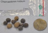 JPG 1200x835 572.0kb