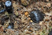 JPG 1000x682 669.2kb