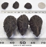 JPG 1000x1011 641.0kb