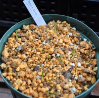 JPG 1200x1184 1000.4kb