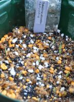 JPG 868x1194 815.3kb