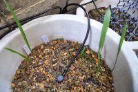 JPG 1000x664 654.2kb