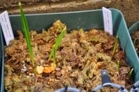 JPG 1200x797 773.6kb