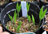 JPG 1200x870 230.3kb