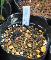 JPG 838x1000 633.0kb