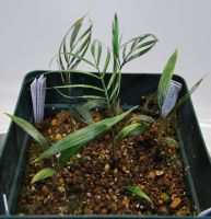 JPG 1200x1242 1034.0kb