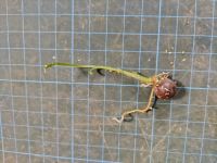 JPG 4000x3000 3827.4kb