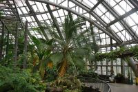 JPG 1200x803 1066.7kb