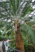 JPG 803x1200 1290.7kb