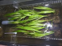 JPG 4000x3000 3057.0kb