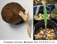 JPG 1712x1320 1316.0kb