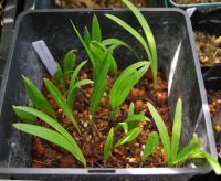 JPG 1000x821 628.9kb