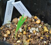 JPG 1200x1061 1075.2kb