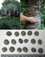 JPG 1200x1521 1675.9kb